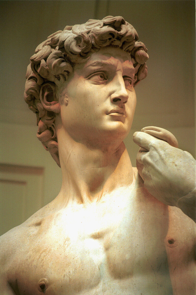 David Silverman / Getty Images📷Статуя «Давид» Микеланджело