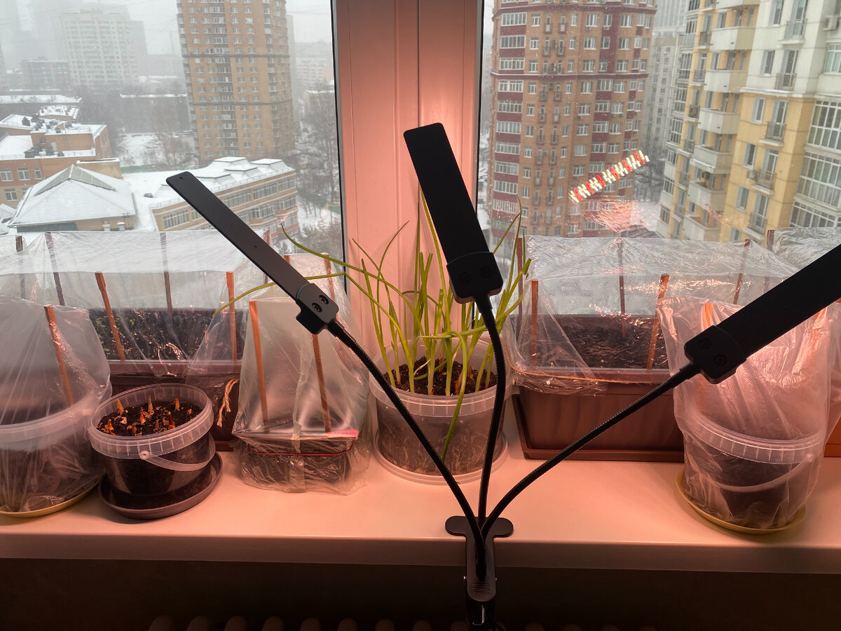 Стоял весной. Стоял весной. На дворе стоит весна после зимней лютой стужи. Витя малеев иллюстрации. Лето.