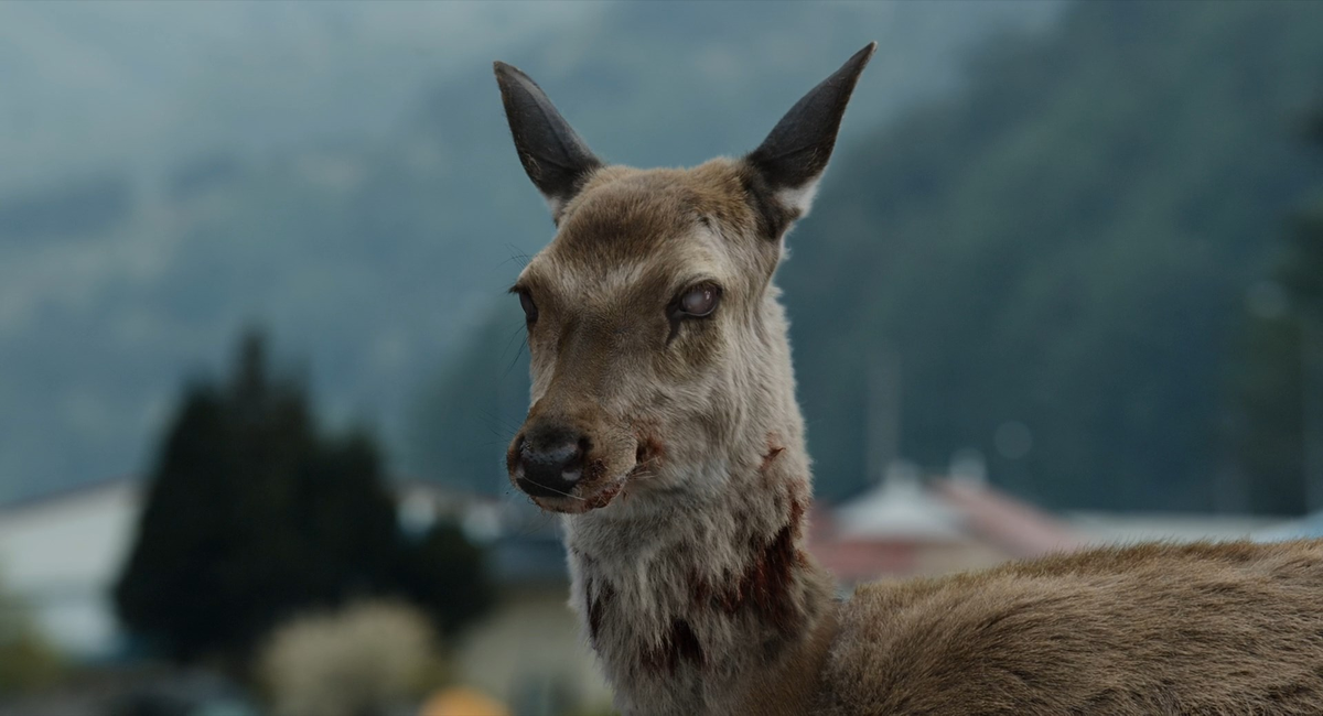 Зомби-олень из фильма