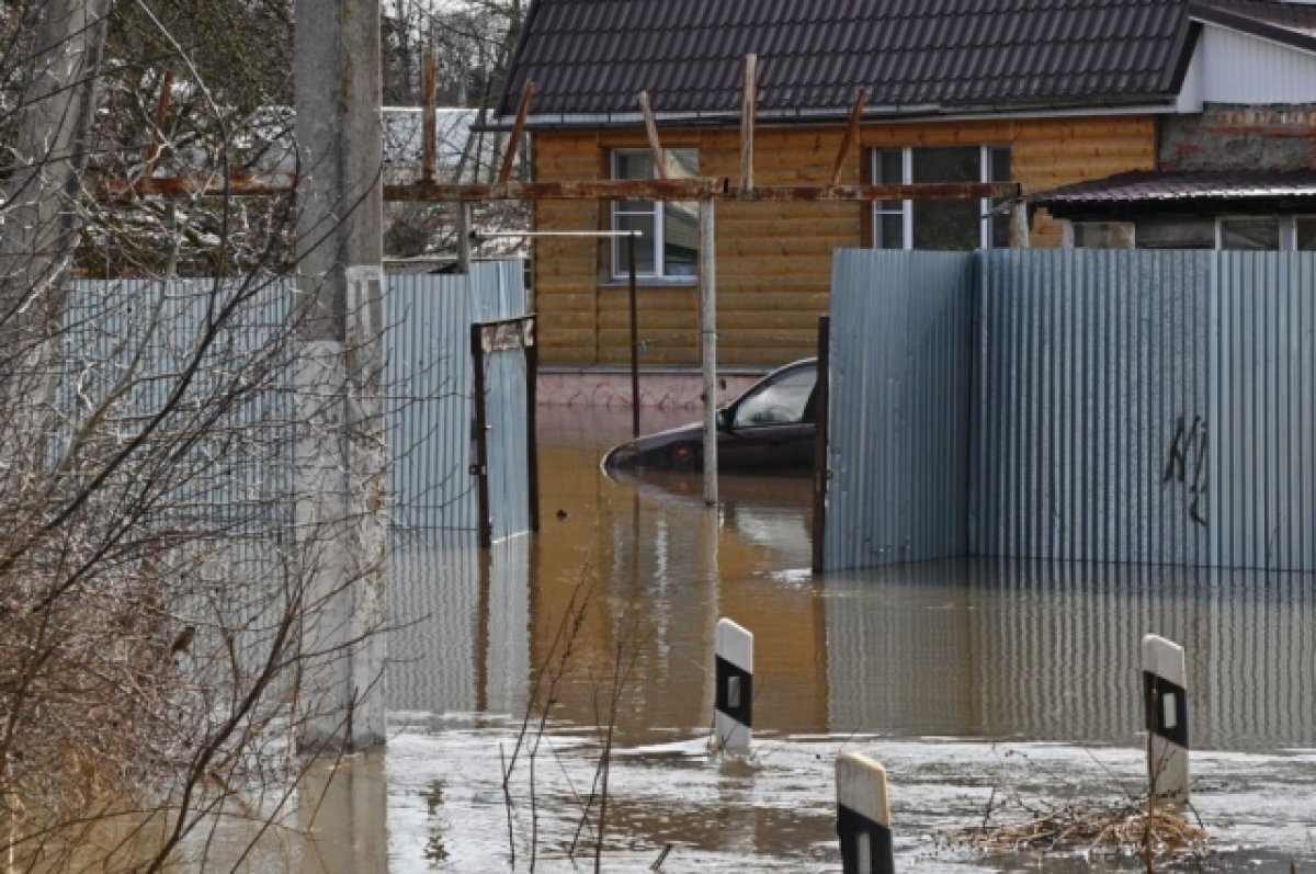 Паводок 2024 ковров. Паводок. Наводнение фото. Паводок в Калужской области. Половодье.