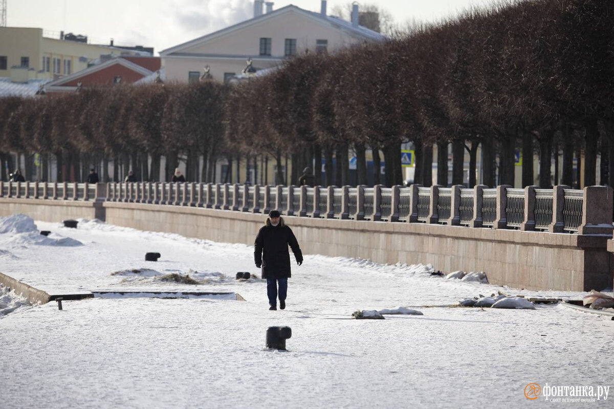 питер сегодня. солнце светило в спб. питер сейчас. санкт-петербург солнечный день. солнце светило в спб.