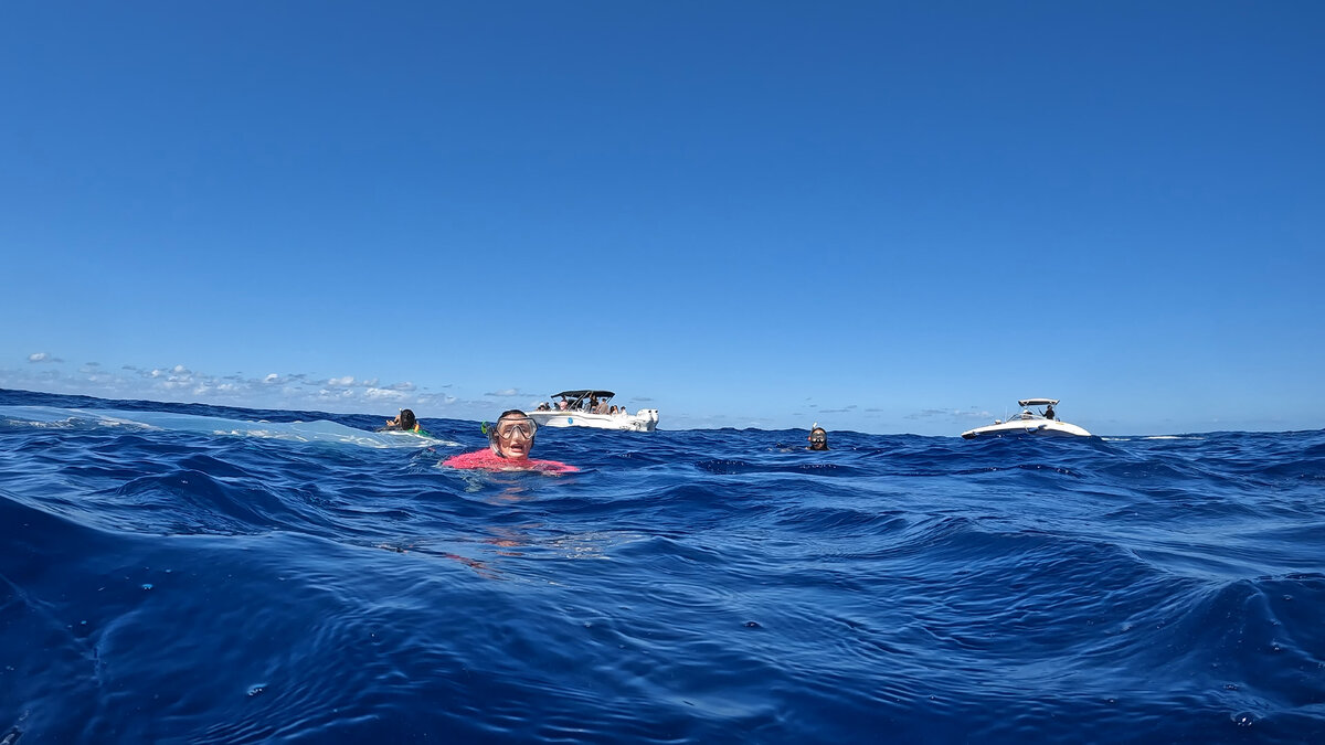 Фото взято из личного источника С. Петросянц