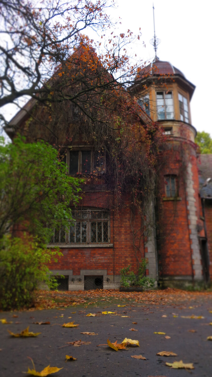 Дача Великого князя Бориса Владимировича. Фото автора статьи