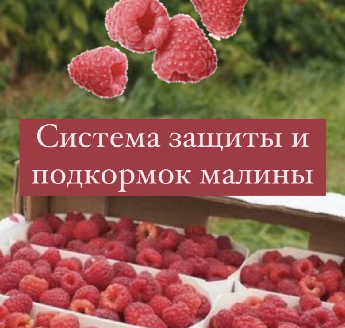 Авторская схема