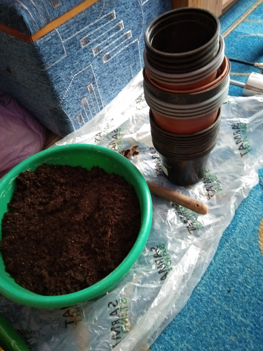 Офис менеджер. Женщина в офисе. Работник офиса. Человек в офисе за компьютером. Размеренная работа.