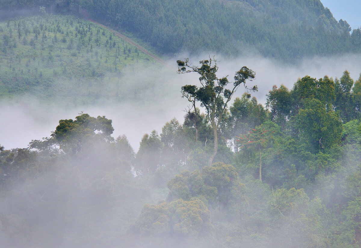 По дороге на трекинг