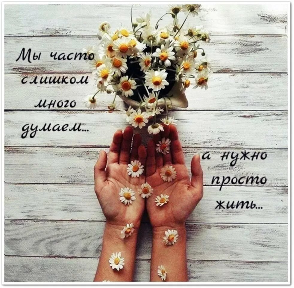 Нужно просто жить! Яндекс картинка. 