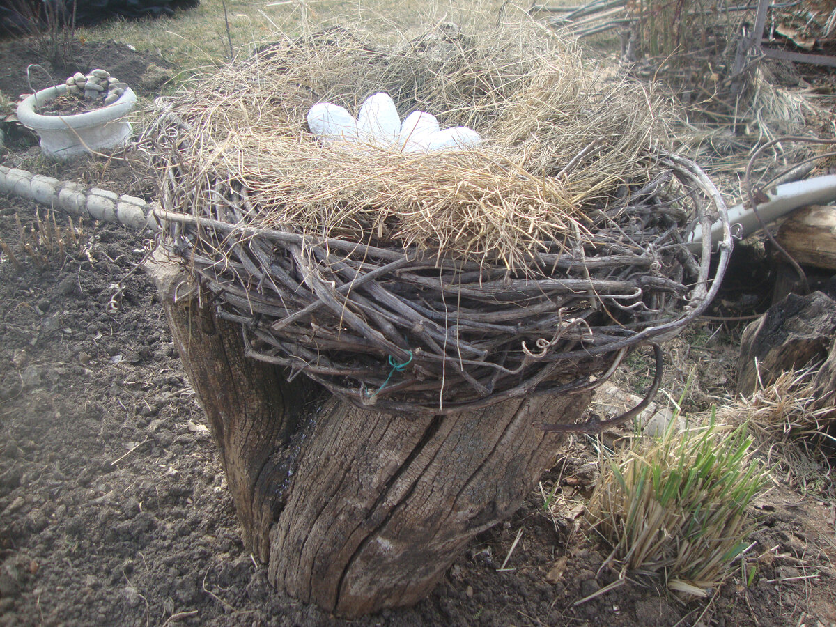 Бросаем все дела и быстро записываем сегоднящнюю погоду, чтобы не ...