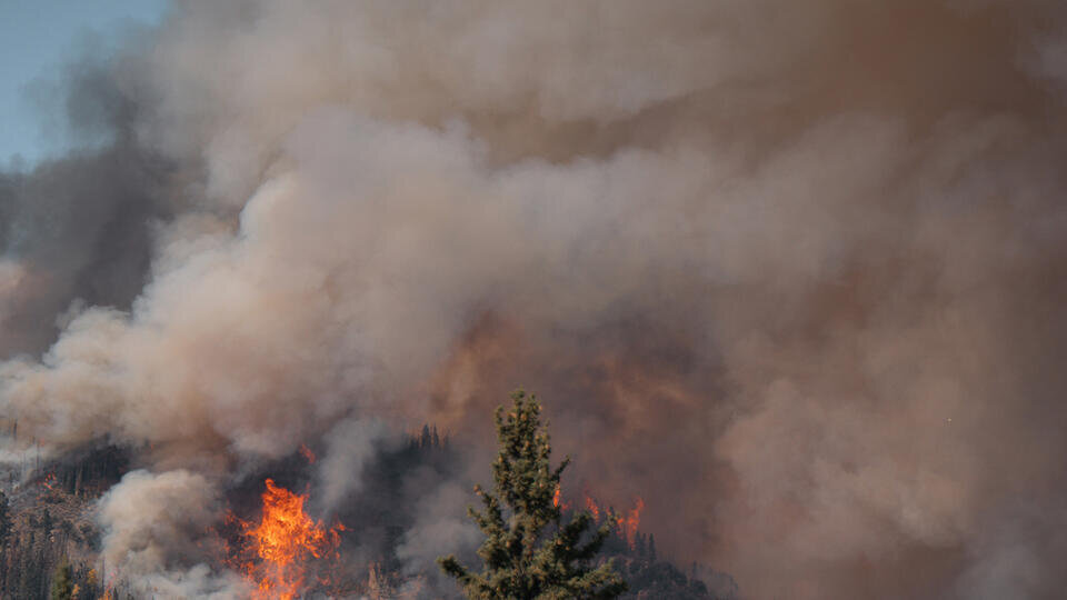 Фото: © Global Look Press/NASA Earth/Keystone Press Agency