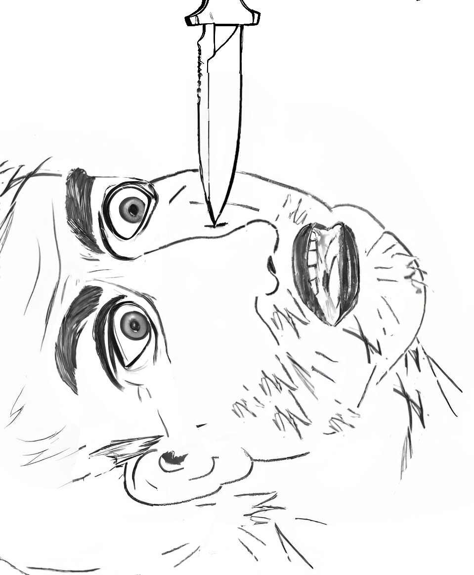 Сабина Альбин. По-хорошему. Карандаш, картон, 2024.