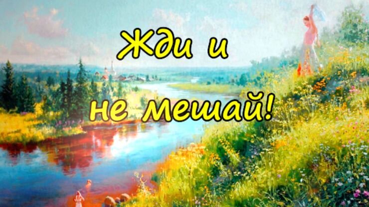 Дружба переросла в любовь. Зюзинские истории рассказы. Сквер музей зюзинской волости. Зюзинские истории рассказы. Не кормите голубей.