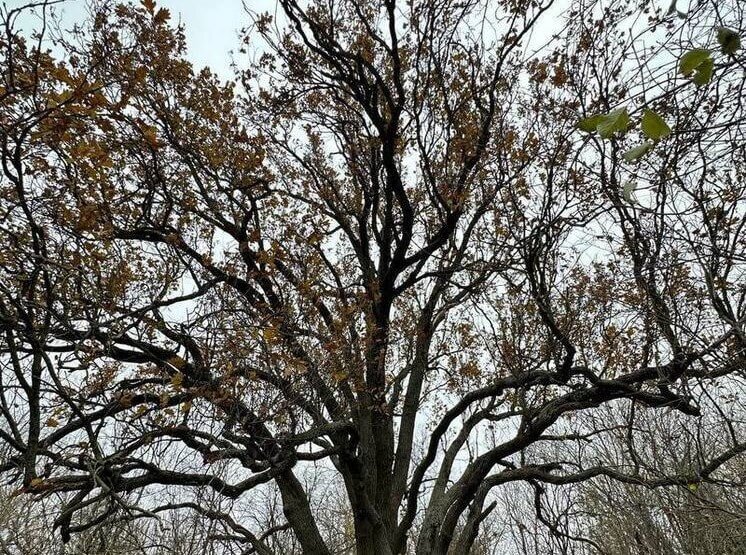    Фото: Минприроды Запорожской области