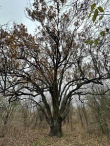    Фото: Минприроды Запорожской области