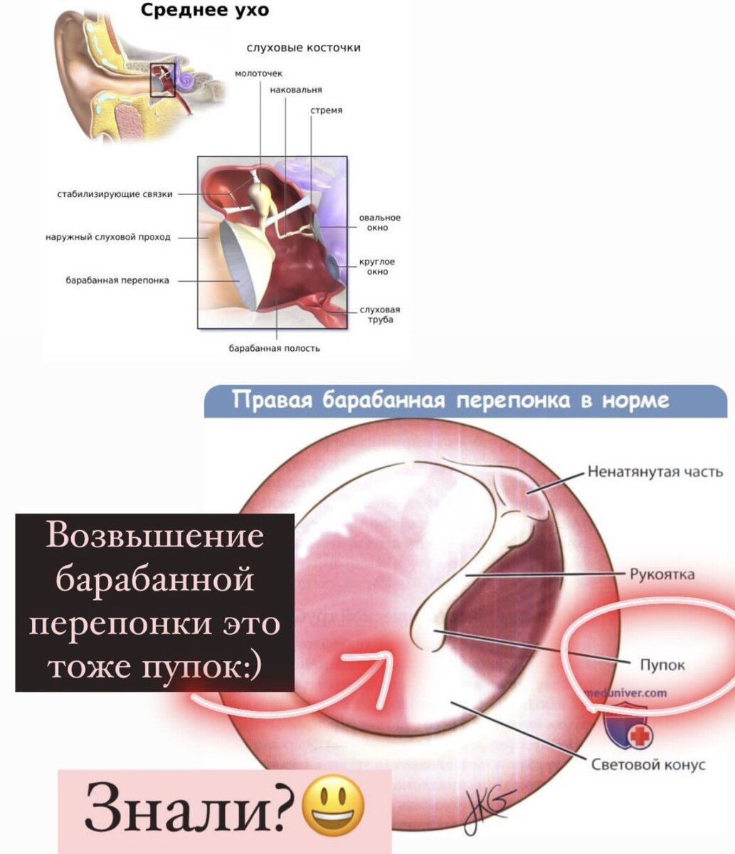 Удаление инородного тела из влагалища, цена в Братске | Юнилаб