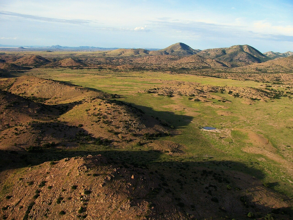 трофей диких индейцев