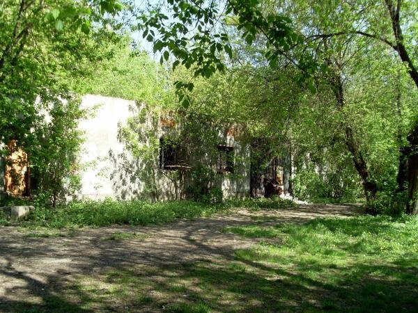 Ресторан "Берег". 