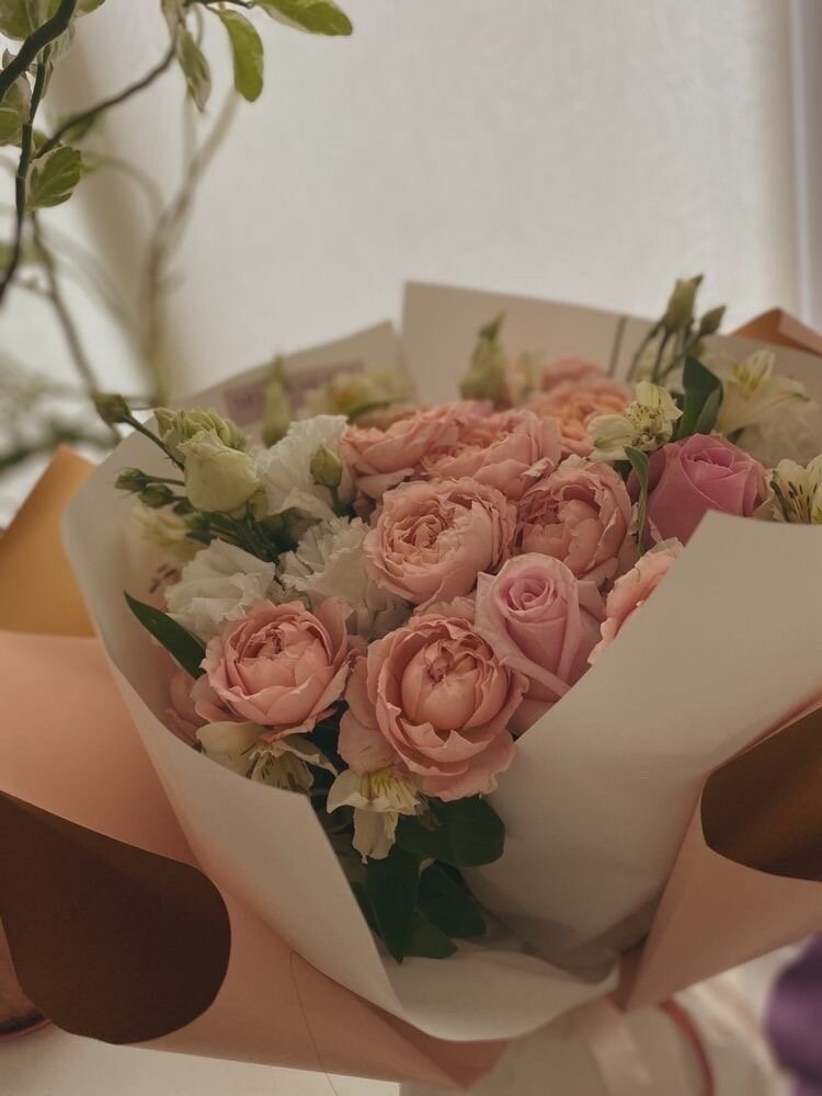 Приятель 30. Число элементов в объединении,пересечении. Приятель 30. Пиво ирландский эль шемрок темное. Пиво липецкое приятель живое.