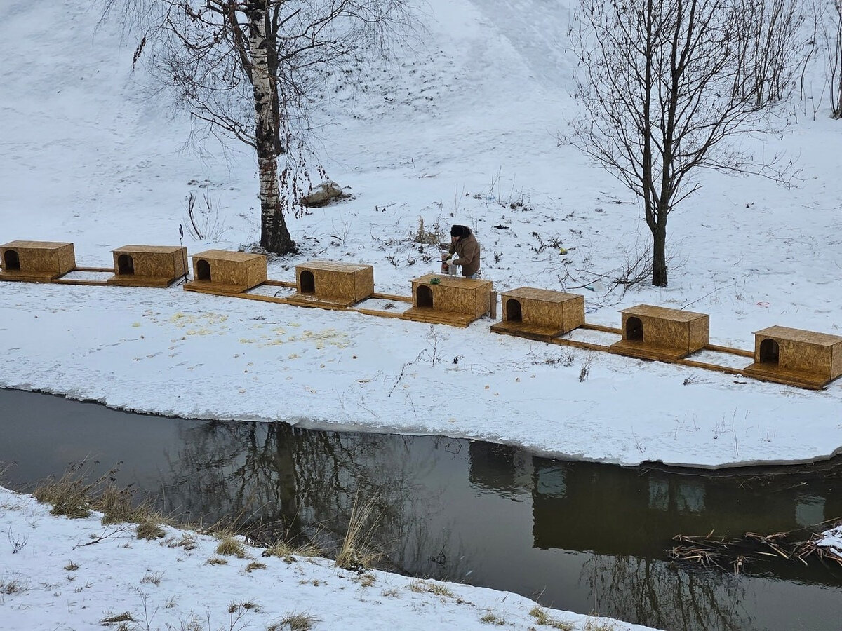 Листайте вправо, чтобы увидеть больше изображений