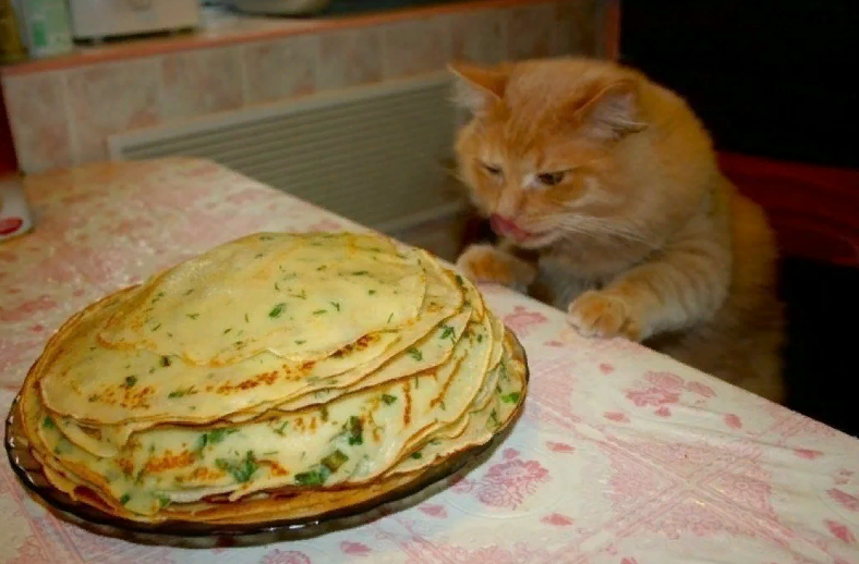 Это не мой Барсик, но к блинам также неравнодушен (ru.pinterest.com)
