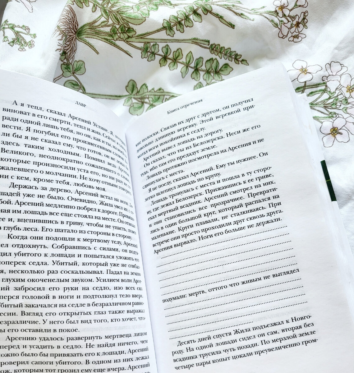 Редактор книжного издательства. Ценовые книги. Воровство книг. Редакция книг. Ценовые книги.