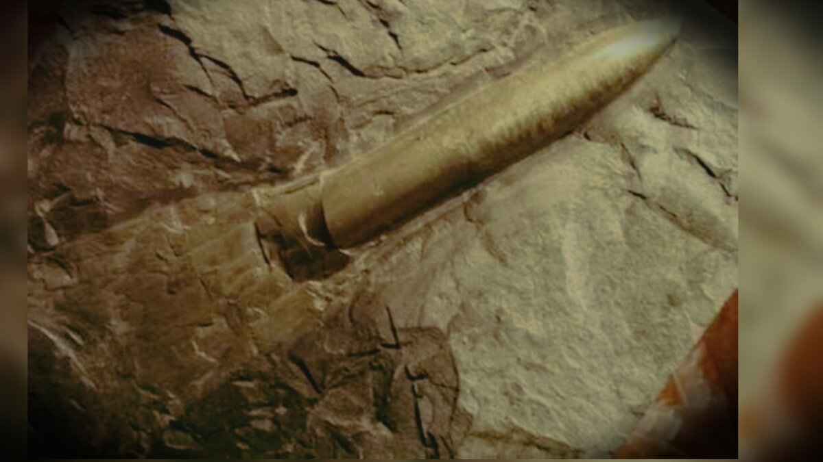 находки первобытных людей в краеведческом музее. находки археологов первобытных людей. жизнь первобытных людей находки археологов. иркутский краеведческий музей археологические находки. жизнь первобытных людей находки археологов.