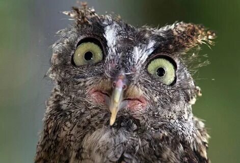 Когда забрала ребёнка из садика вовремя, но по пути домой вспомнила, что не расписалась в журнале и забыла на шкафчике мокрые штанишки