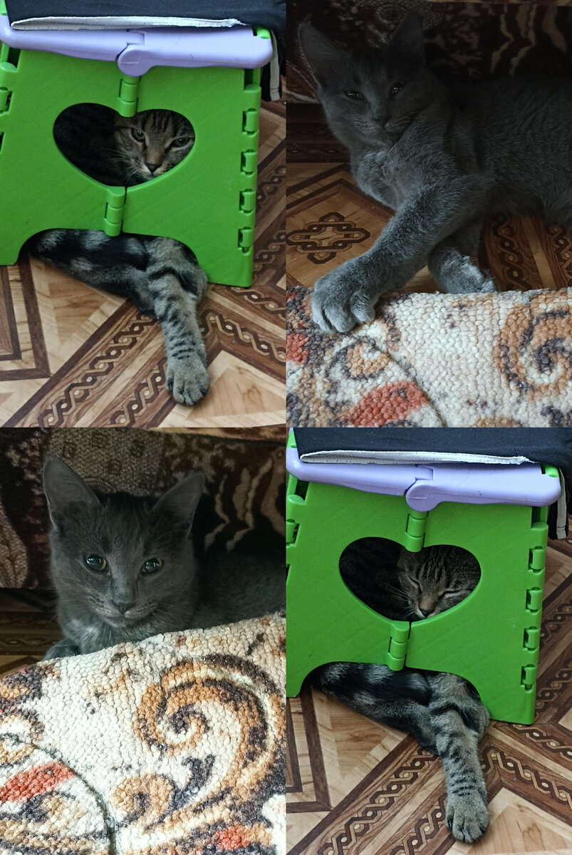 Фото автора 