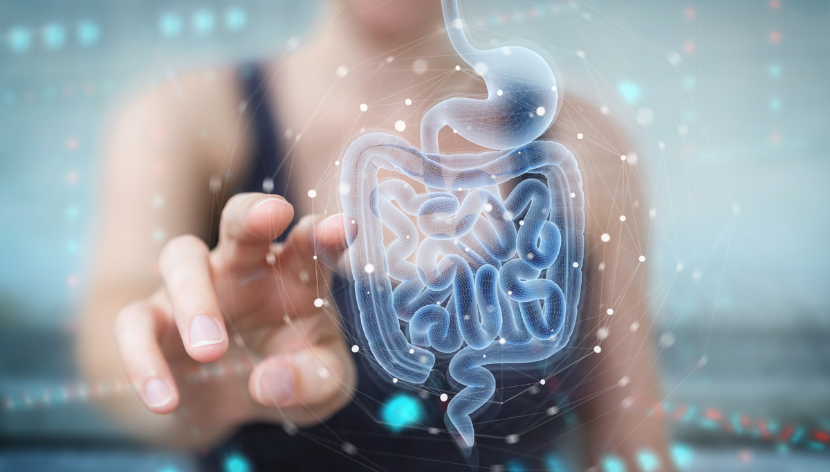 Здоровый кишечник