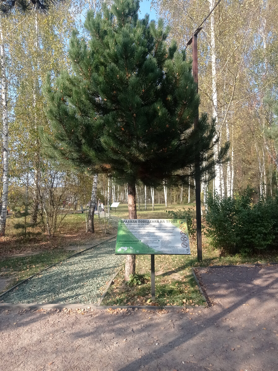 Тропа 