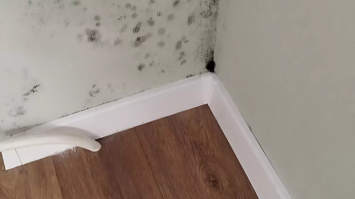     Мэрия Нижнего Новгорода сделала новый ремонт в квартире, предоставленной жильцу аварийного дома на проспете Ильича при расселении. Об этом NewsNN сообщили в городском департаменте строительства.