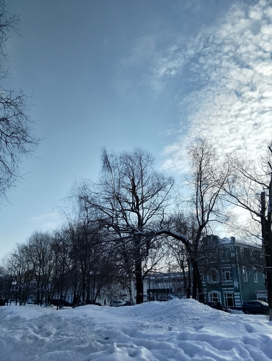 Сегодня морозно, -18°С, небо серо-голубое, фото автора