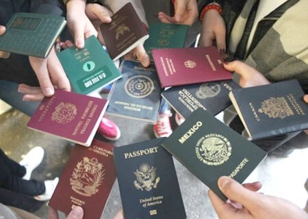    Комитет по правам человека поддержал законопроект Зеленского о множественном гражданстве
