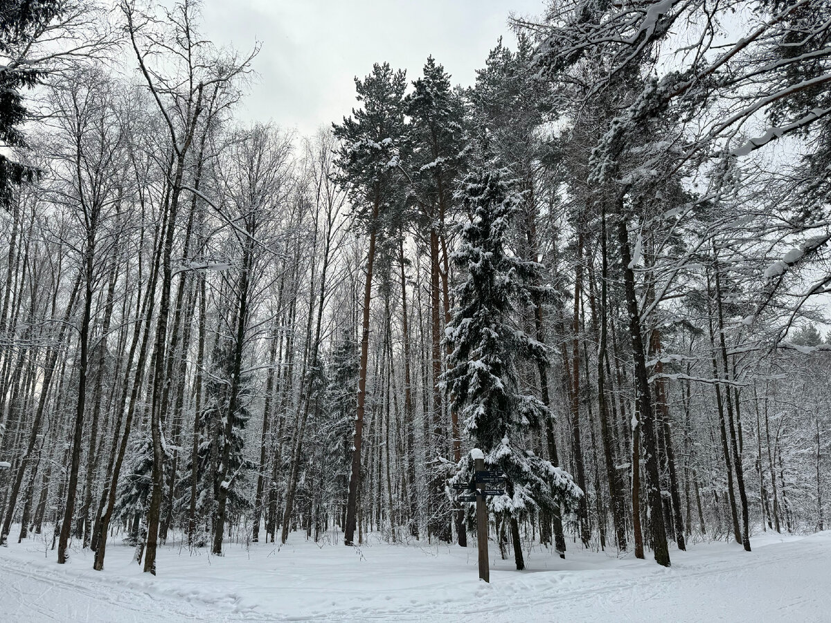 Мещерский парк