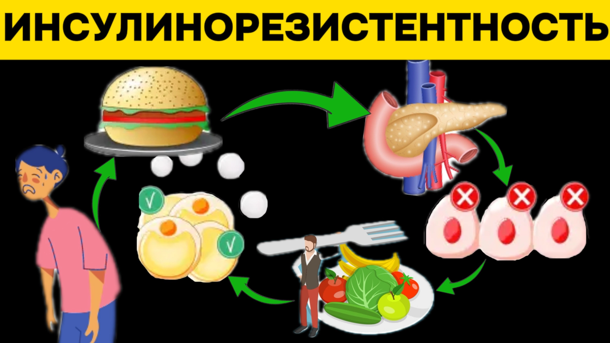 песня фактор 2 война текст песни. климатолог доклад. одинокая звезда аккорды. фактор 2 война аккорды и бой. аккорды песни война фактор 2.