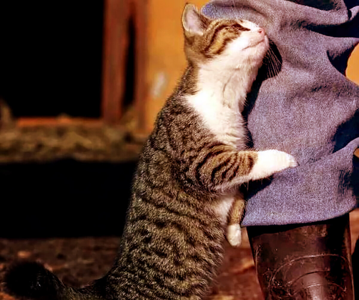 фото из интернета