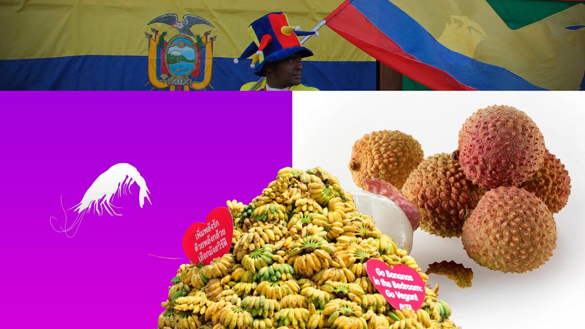 Фото: Pixabay.com, Paul Williams - Funkystock, E]Santiago Armas, Rachen Sageamsak/Global Look Press