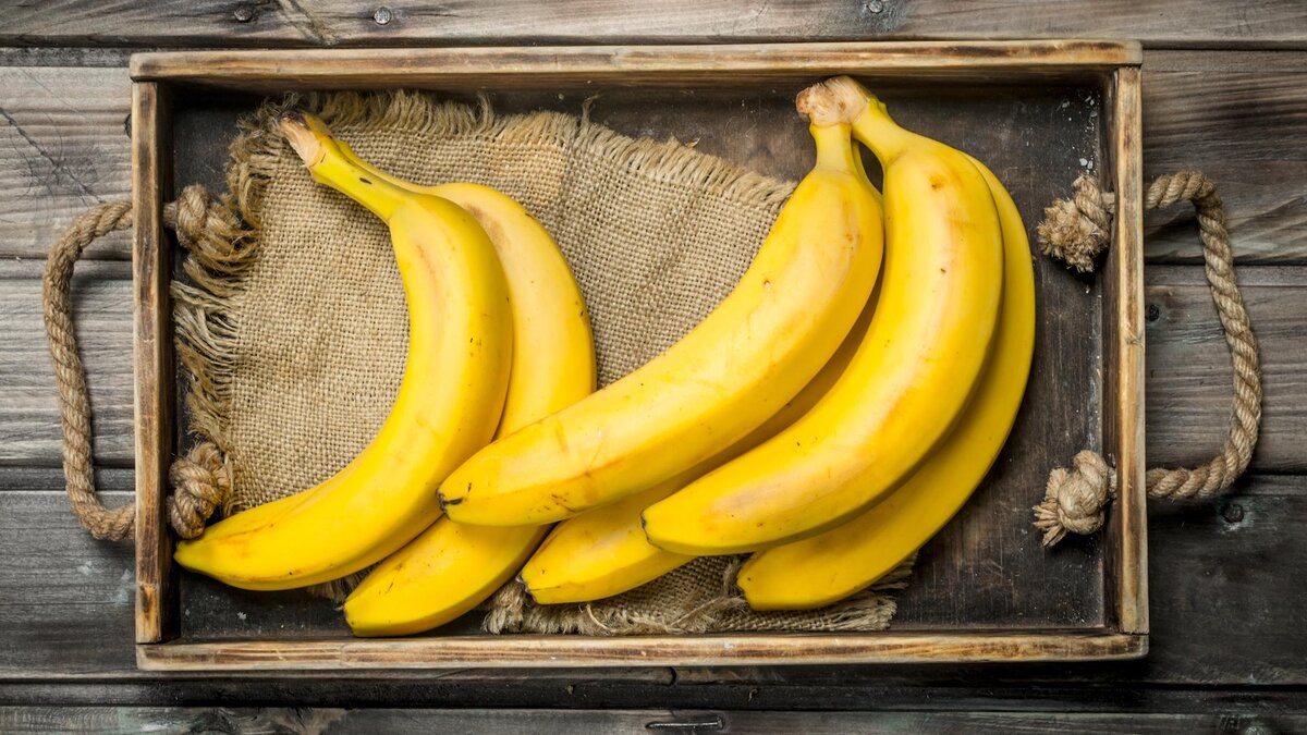 Фото: Global Look Press