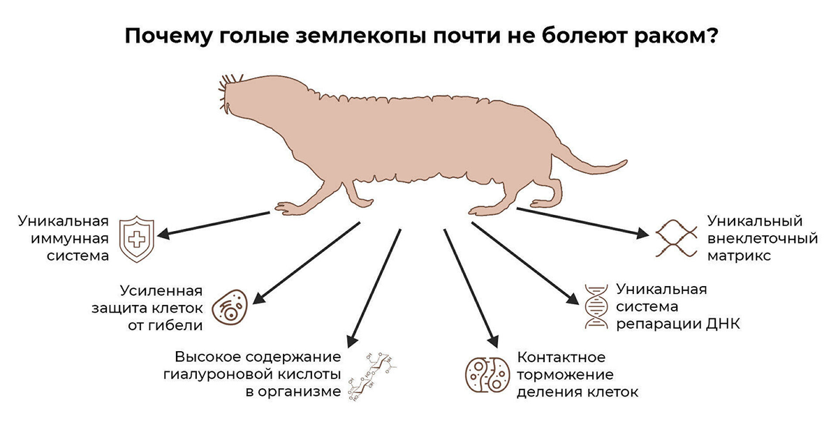 Порно Фото и Секс Картинки на XGroovy, страница 