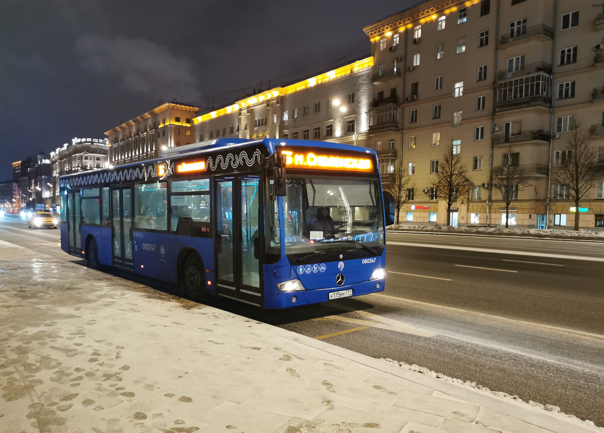 Сад автобусы