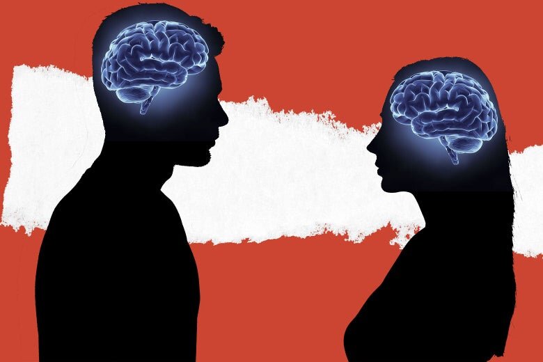 Мозг мужчин различия. Мозг женщины. Головной мозг женщины. Мозг мужчины. Мужской и женский мозг.