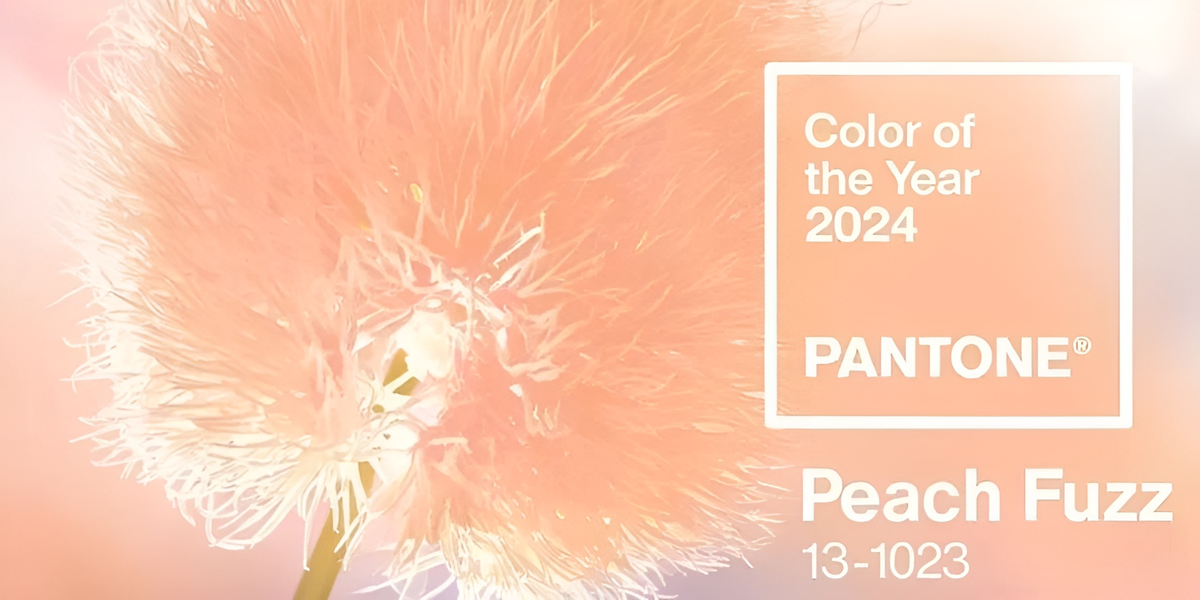 Цвет года Pantone 2024 
