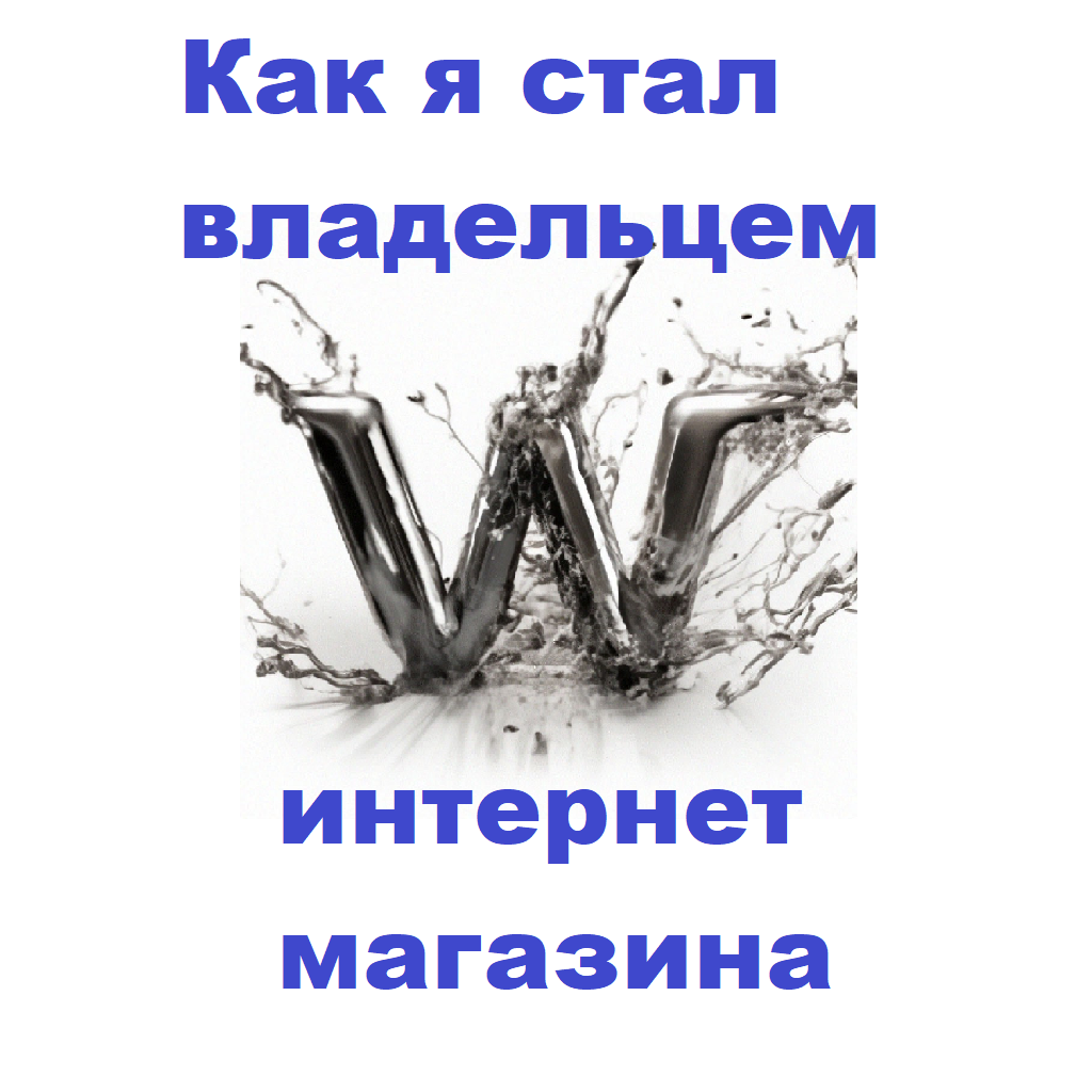 Сейчас я владелец нескольких интернет магазинов в 2024 году