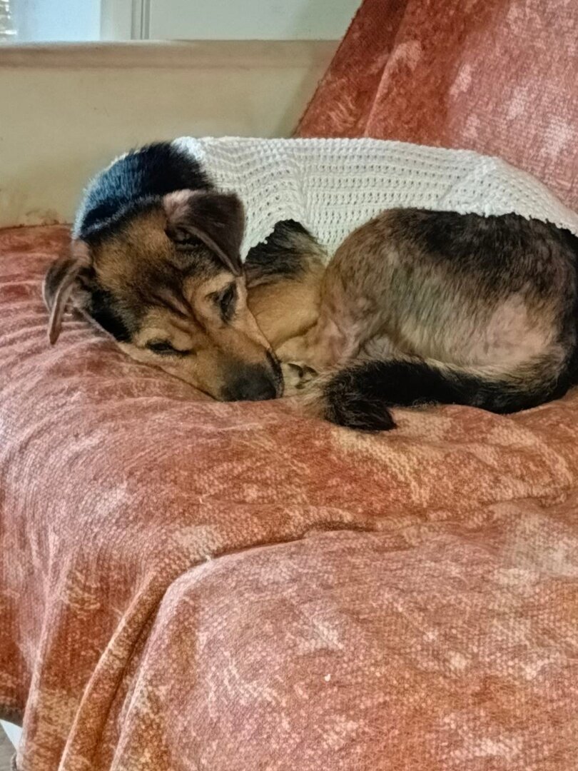 Ася отогревается