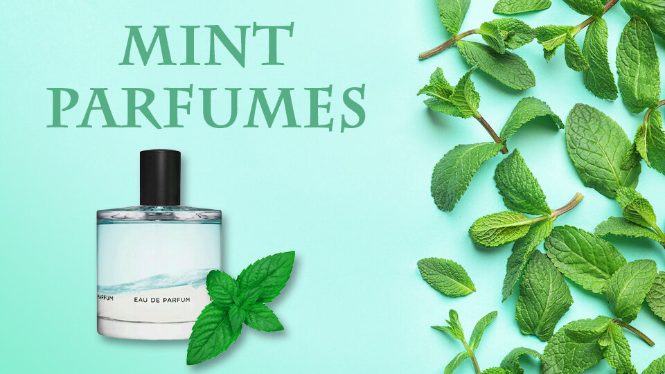 духи с ароматом мяты. джо малон жасмин и мята. брокард парфюм черная смородина. Guerlain aqua allegoria herba fresca 75 ml. 32503 орифлейм мужская туалетная вода.