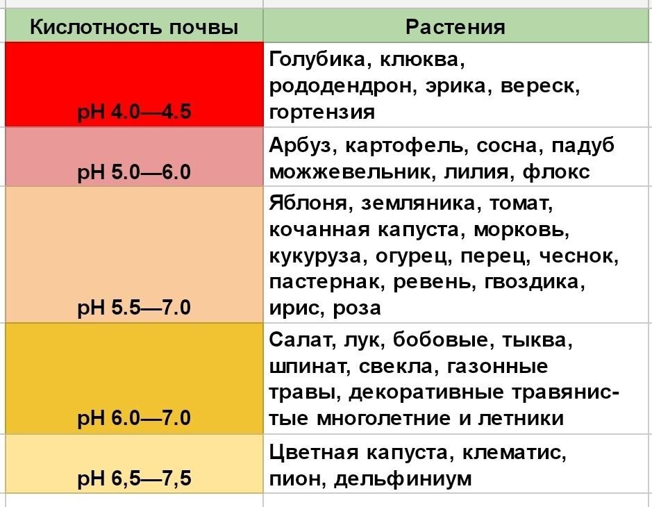 Кислотность помидора