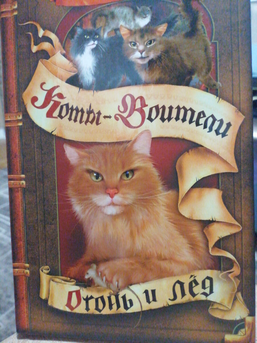 Книга живые мы можем жить среди людей. Живые книга краткое содержание. Серия живые варвара еналь. Книга живых. Живые книга краткое содержание.
