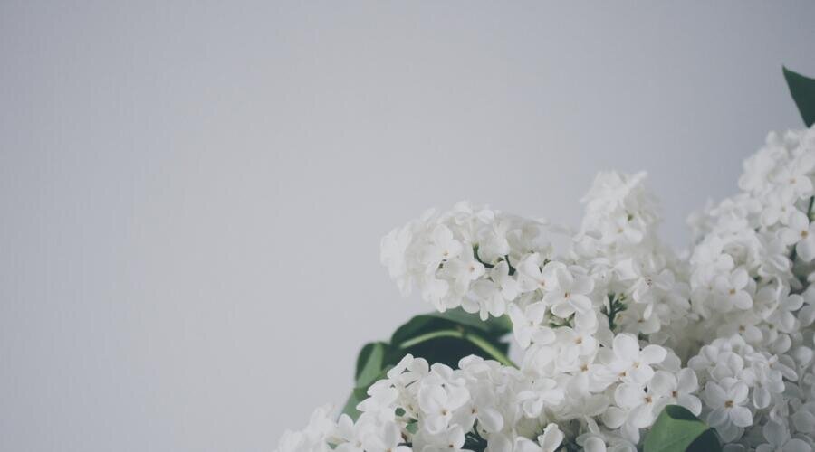    Как удалить пятна с белой стены? Фото: по лицензии PxHere