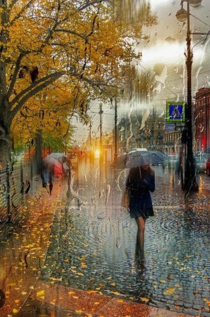 Гугл картинки