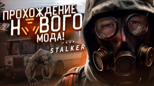 Новое приключение в True STALKER