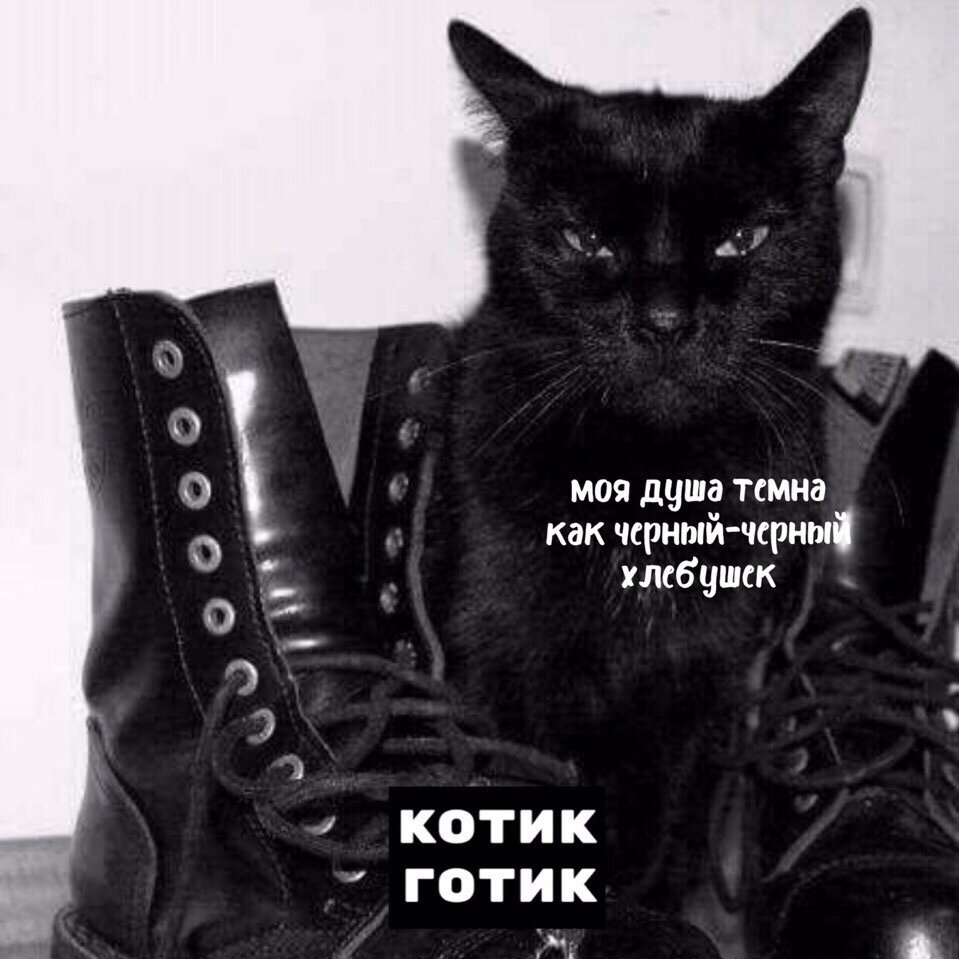 картинка из яндекса
